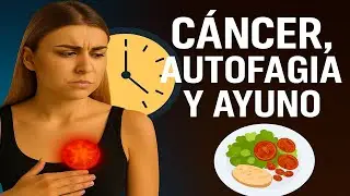 C&aacute;ncer, Autofagia y Ayuno Intermitente: El secreto de limpieza celular