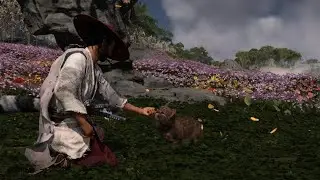 Ghost of Tsushima Petting a Cat