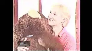 GMA - Daddy Di Do Du 