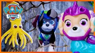Aqua Pups Save Moby on a Treasure Hunt! - PAW Patrol - Toy Play for Kids
