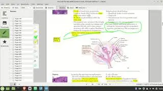 First Aid USMLE 2020 Immunology Page 98