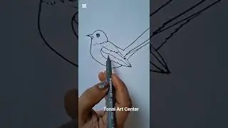 How to draw magpie robin# short drawing magpie robin# easy art.
