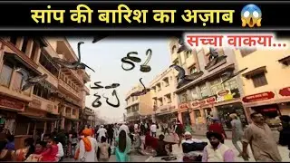 सांपों की बारिश ने भगदड़ मचा दी ? Snakes Rain Real Or Fake? || Islamic Media