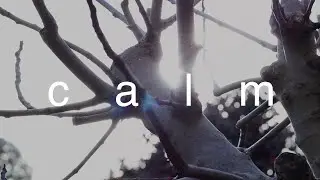 Ambient Music | calm