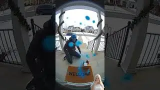 Funny Box Bandit  782  #funny   #comedy #securitycam