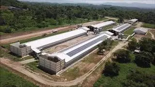 Avinal Energ&iacute;a Solar