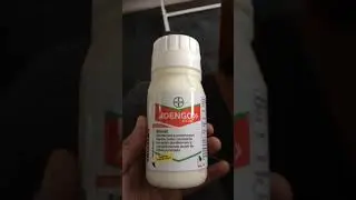 ADENGO 565 SC erbicid aplicat la porumb rezultate foarte bune