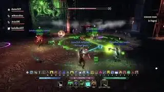ESO Ritemaster Maqri HM (Warden Healer)