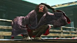 MONKEYS OF THE TEMPLE