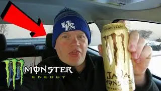 Monster Java Monster Mean Bean (Reed Reviews)