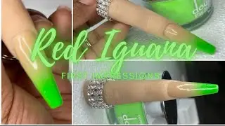 First Impressions on my Red Iguana Finger Inessa