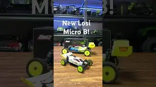 New Losi Micro B, 2wd 1/24 Scale 2wd RC Buggy!