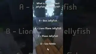What is the deadliest jellyfish in the world?