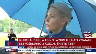 Wody Polskie: w Odrze wykryto, napływające bezpośrednio z Czech, śnięte ryby