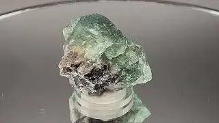 DM003