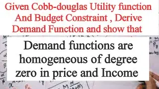 demand function of  homogeneous of degree zero in price and in income