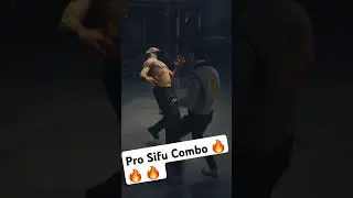 What a pro SIFU Combo looks like 🤯