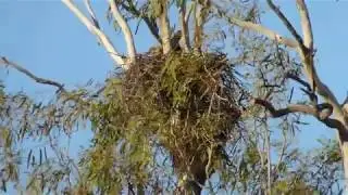 Thomson River Cruise, Longreach, Queensland, 6 May 2019