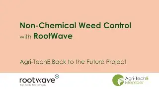 Back to the Future with RootWave
