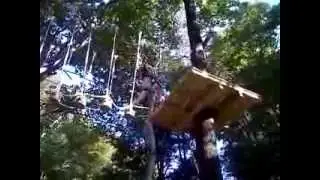 TimberQuest at Magic Mountain - Treeversing