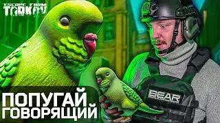 Тарковский ПРОВОДНИК! Со мной Заговорил Попугай!!!! - Тарков WTF - Escape From Tarkov