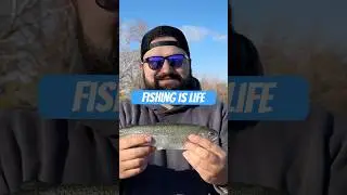Fishing is Life!! #fishingislife #DailyFishing #troutfishing #FishingVlog #fishingdaily #youtuber