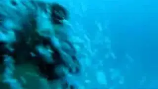 charlie's angels - phantom divers