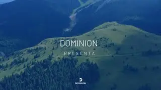 Culture and values at DOMINION GLOBAL