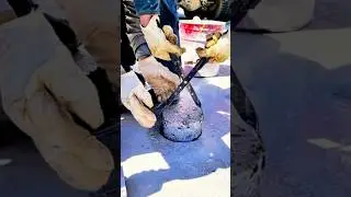 The process of core sampling inspection for roads ｜Highway construction work #WorkerVision