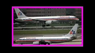 Breaking News | American Airlines banning ferrets, goats and hedgehogs from flights