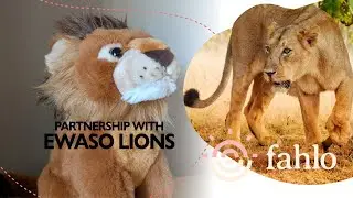 Новая плюшевая игрушка, новый сканер! 🦁 Отслеживайте льва и помогите защитить дикую природу вмест...