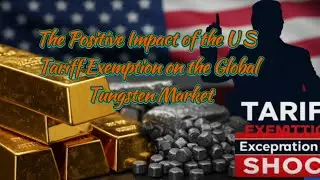 The Positive Impact of the U S  Tariff Exemption on the Global Tungsten Market