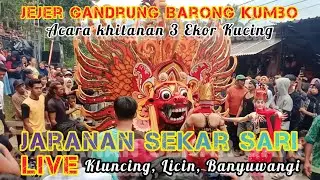 Khitanan 3 Ekor Kucing Tari Jejer Gandrung Barong Kumbo Jaranan Sekar Sari Live Kluncing