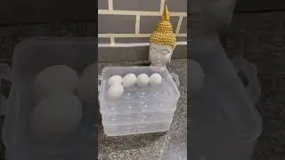 Egg Storage Box honest review #meesho #kitchen #tips @SiriLifehack