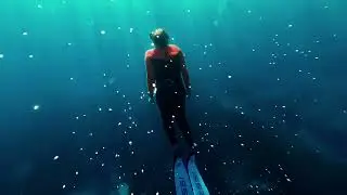 FREEDIVING Vofiw wetsuit  