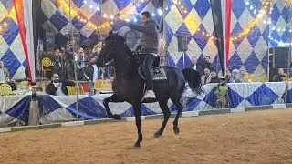 عجيبة ابو كمال ومصطفي سرحان حفلة محمود الدولي سقارة 2026