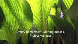 Dmitry Romantsov - Starting out as a project manager