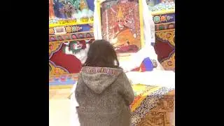 Little angel# believers in Buddism# emotional# faith#Love