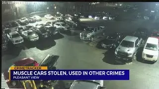 Muscle cars stolen, used in other crimes