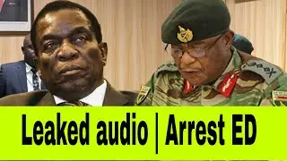 Leaked Audio  | Zimbabwe at Crossroads 