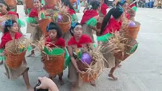Binirayan Festival  Champion 9- Roco festival of festival 2023