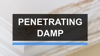 Penetrating Damp | Richardson & Starling