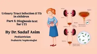 Urinary Tract Infection UTI in children l PART 5 Diagnosis tests for UTI I Dr. Sadaf Asim