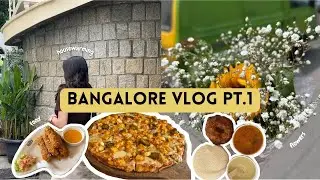 India Vlog | Bangalore | Culture & Traditions 🇮🇳 | South Indian Housewarming, Family & Food ✨