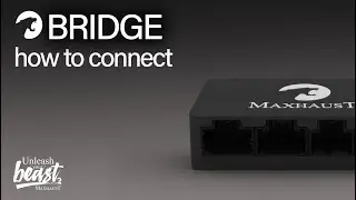 Connecting the Maxhaust Bridge! New Hardware, New APP, new Sounds!