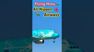 All Nippon Airways 🐢Flying Honu🐢✈️#airplane#landing#airbus#hawaii#japan#short