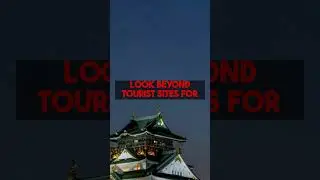 Digital Nomad Guide to Affordable Long Term Stays in Osaka