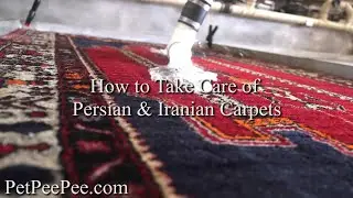 How Do You Clean Expensive Oriental Rugs | PetPeePee®