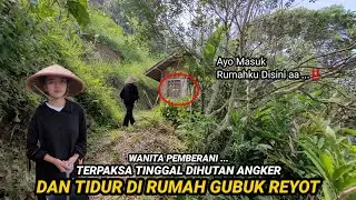 DI LUAR DUGAAN!! ADA WANITA PEMBERANI YANG TINGGAL DI RUMAH GUBUK REYOD TENGAH HUTAN JAWA BARAT