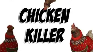 CHICKEN KILLER